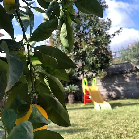 Etna * Zafferana Etnea